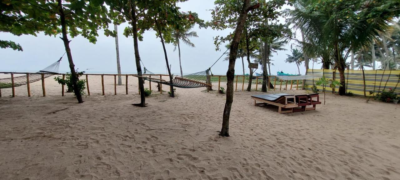 Marari Phoenix Beach Homestay Mararikulam Exteriör bild