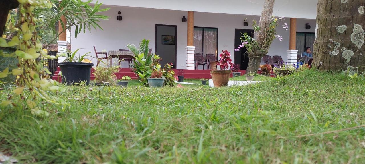 Marari Phoenix Beach Homestay Mararikulam Exteriör bild