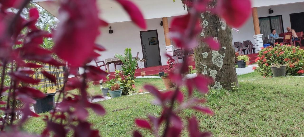 Marari Phoenix Beach Homestay Mararikulam Exteriör bild